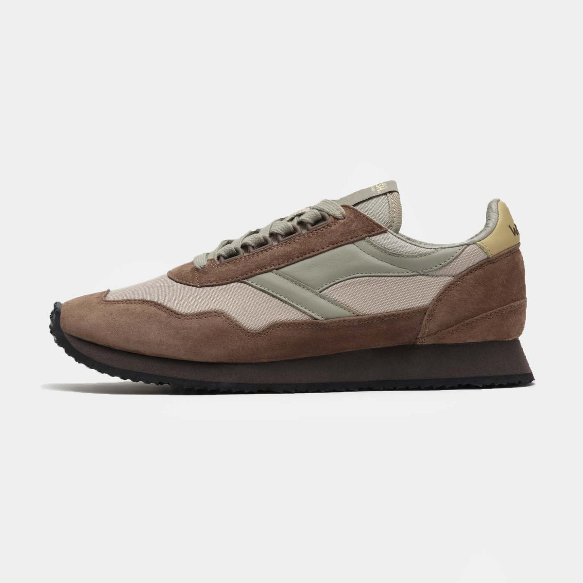 Ensign Palm &